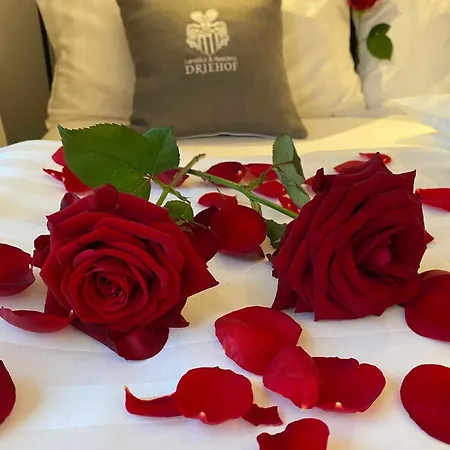 Driehof Lifestyle Classic 5 테클렌부르그