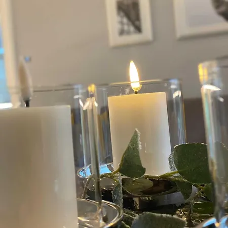 호텔 Driehof Lifestyle Classic 5 *