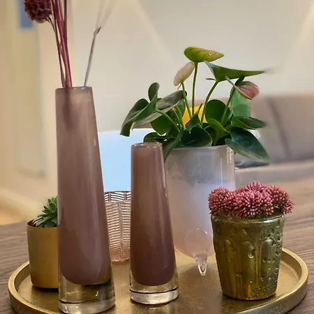 Driehof Lifestyle Classic 5