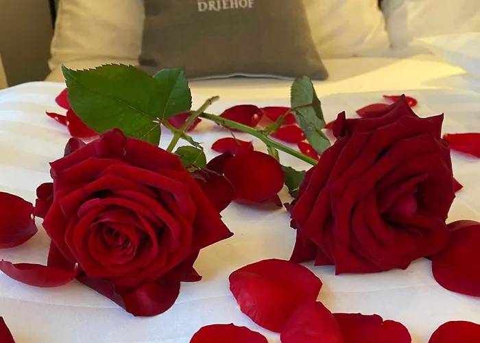 Driehof Lifestyle Classic 5 Tecklenburg