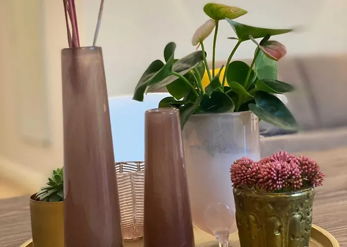 Driehof Lifestyle Classic 5